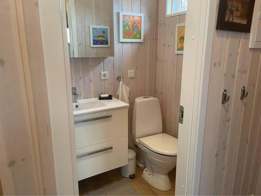 Nice Whole Year Cottage Bythingvallavatn Veithilundur Экстерьер фото
